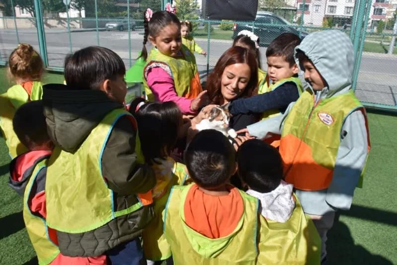 Kocasinan Belediyesi; sokak hayvanlarının yaşam kalitesini yükseltmek, sağlıklı, güvenli ve huzurlu bir yaşam sürmelerin