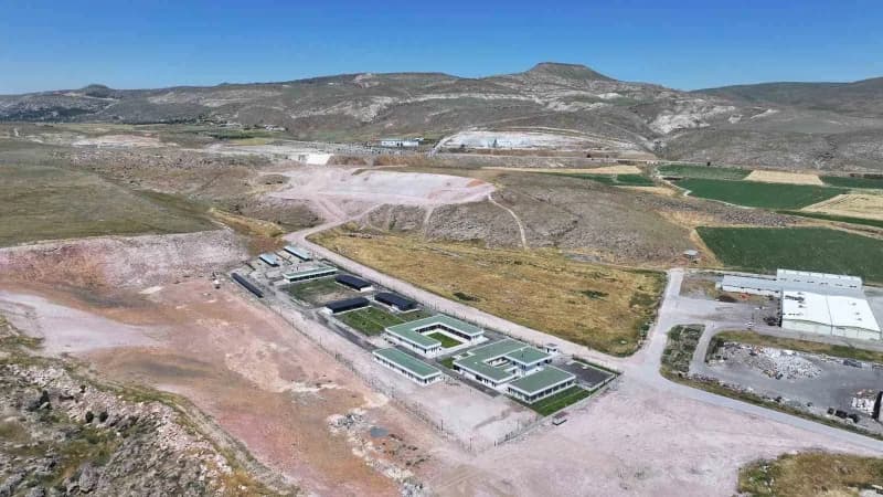 Kocasinan Belediyesi; sokak hayvanlarının yaşam kalitesini yükseltmek, sağlıklı, güvenli ve huzurlu bir yaşam sürmelerin