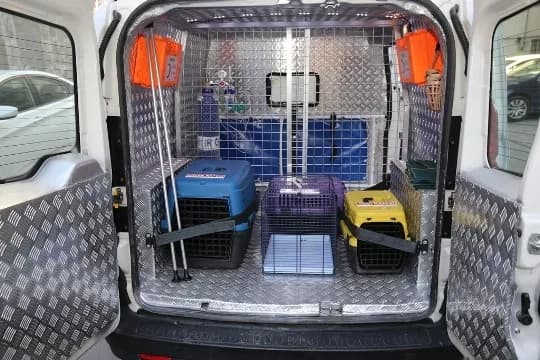 Kocasinan Belediyesi; sokak hayvanlarının yaşam kalitesini yükseltmek, sağlıklı, güvenli ve huzurlu bir yaşam sürmelerin
