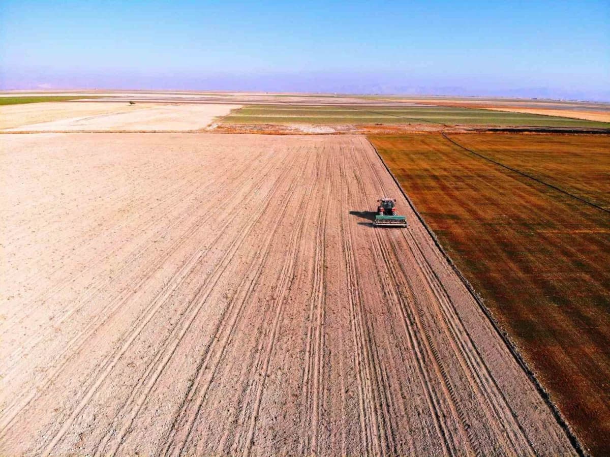 Uzmanlar, Konya Ovasında hububat ekilişi öncesinde çiftçilere toprak hazırlığı, sertifikalı tohum ve