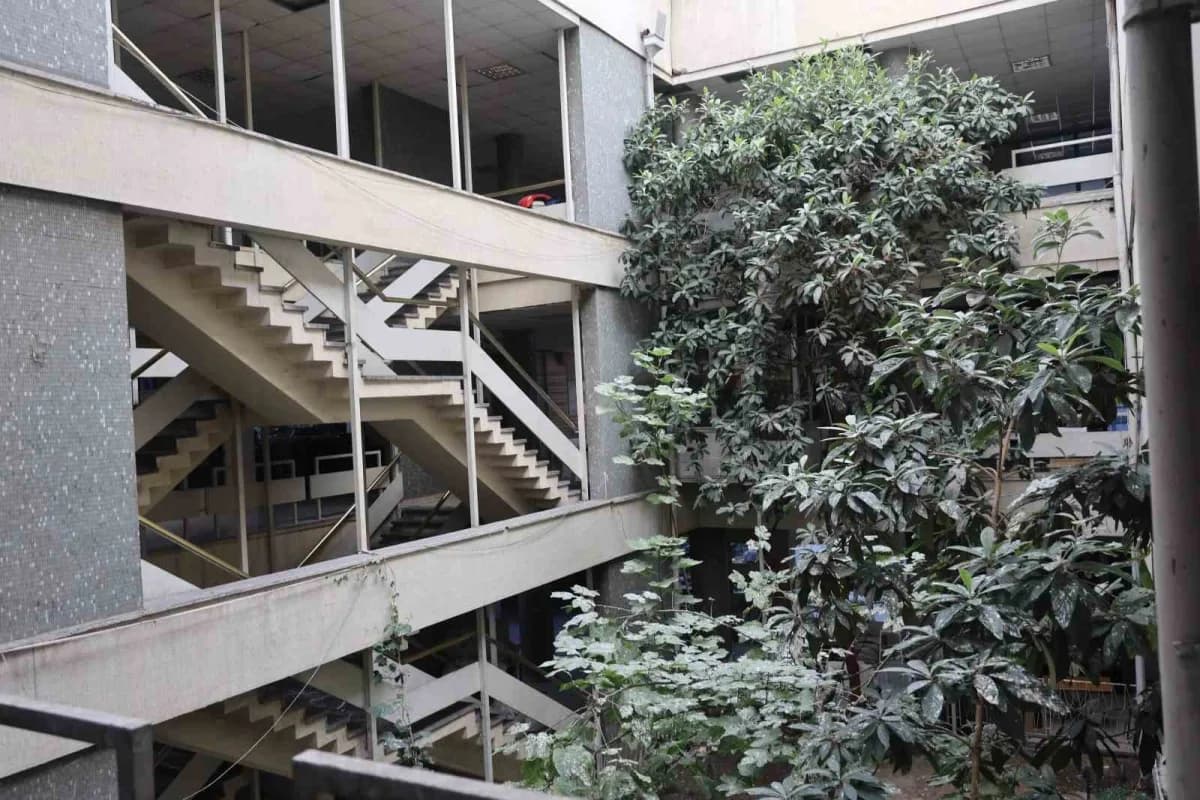 Konya iş hanının ortasında yetişen yeni dünya ve incir ağaçları meyve verirken vatandaşların ilgisini çekiyor
