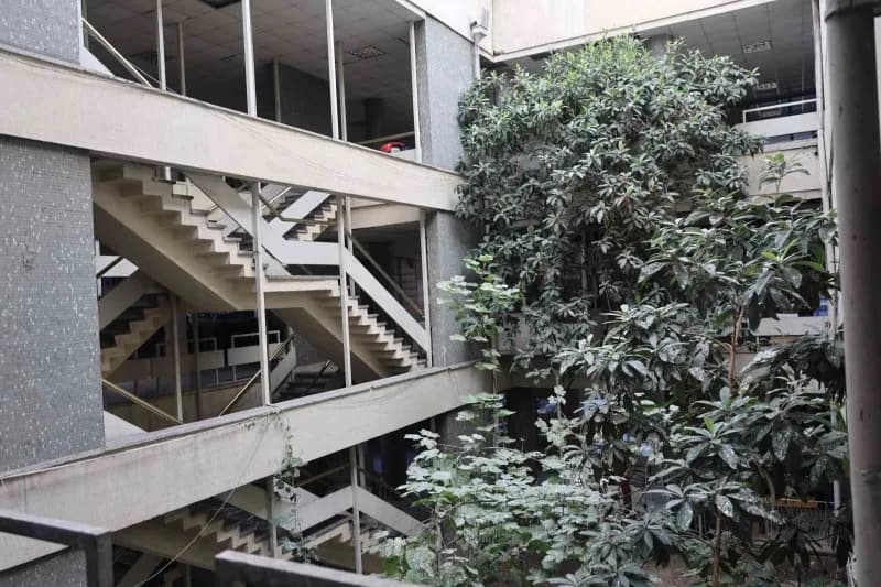 Konya iş hanının ortasında yetişen yeni dünya ve incir ağaçları meyve verirken vatandaşların ilgisini çekiyor