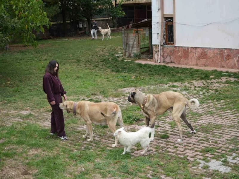 Ilgın Uslubaş, babası Davut Uslubaş ile birlikte kendi markasını kurdu.