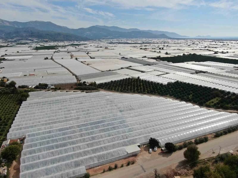 Antalya'nın Kumluca ilçesinde yaklaşık 40 yıldır tarımla uğraşan 60 yaşındaki Adem Dalgıç, babasında