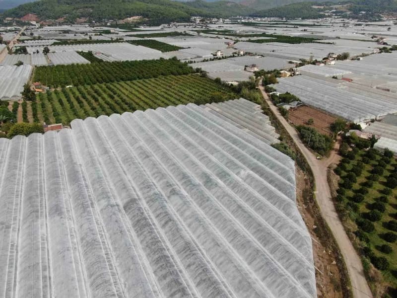 Antalya'nın Kumluca ilçesinde yaklaşık 40 yıldır tarımla uğraşan 60 yaşındaki Adem Dalgıç, babasında