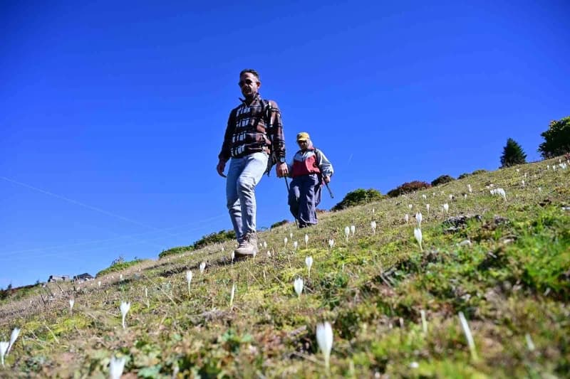 Kürtün ilçesinde düzenlenen Doğa yürüyüşüne katılanlar, Alaca Yaylası'ndan Çetlüce Yaylası'na uzanan 14 kilometrelik par