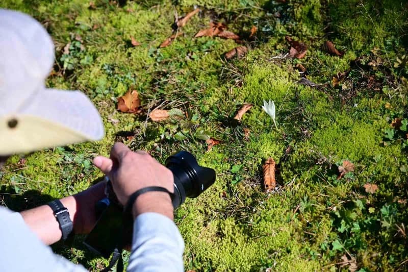 Kürtün ilçesinde düzenlenen Doğa yürüyüşüne katılanlar, Alaca Yaylası'ndan Çetlüce Yaylası'na uzanan 14 kilometrelik par