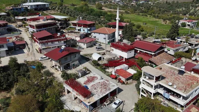 Yenihisar Mahallesi'nde tamamlanan hasatla iplere dizilen kapya biberler evleri kırmızıya bürüdü.