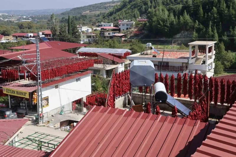 Yenihisar Mahallesi'nde tamamlanan hasatla iplere dizilen kapya biberler evleri kırmızıya bürüdü.
