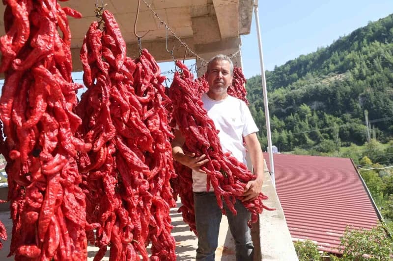 Edvan Öztürk