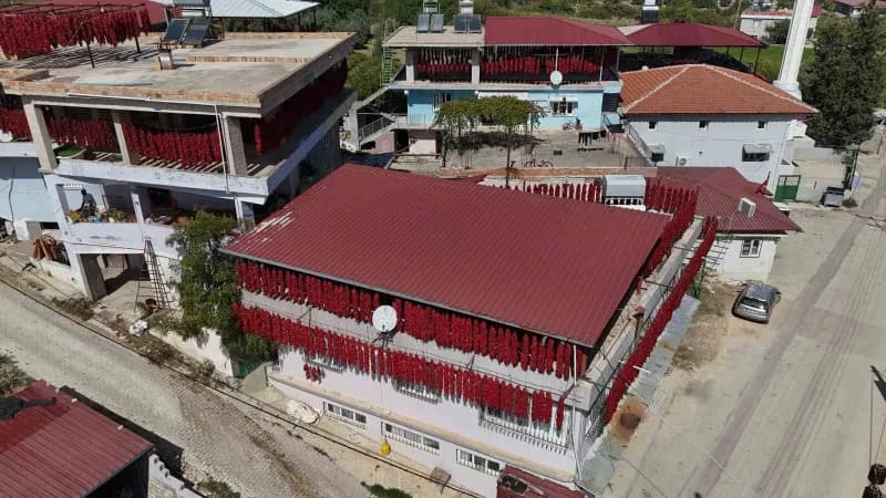 Hatay Altınözü Yenihisar Mahallesi evlerinin damlarında ve balkonlarında kurutulmak üzere ipe dizilmiş kırmızı kapya bib