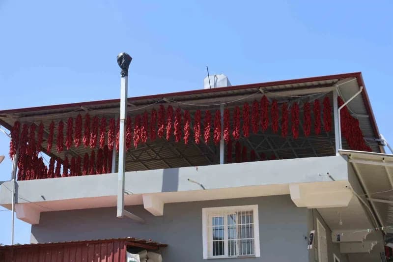 Yenihisar Mahallesi'nde tamamlanan hasatla iplere dizilen kapya biberler evleri kırmızıya bürüdü.
