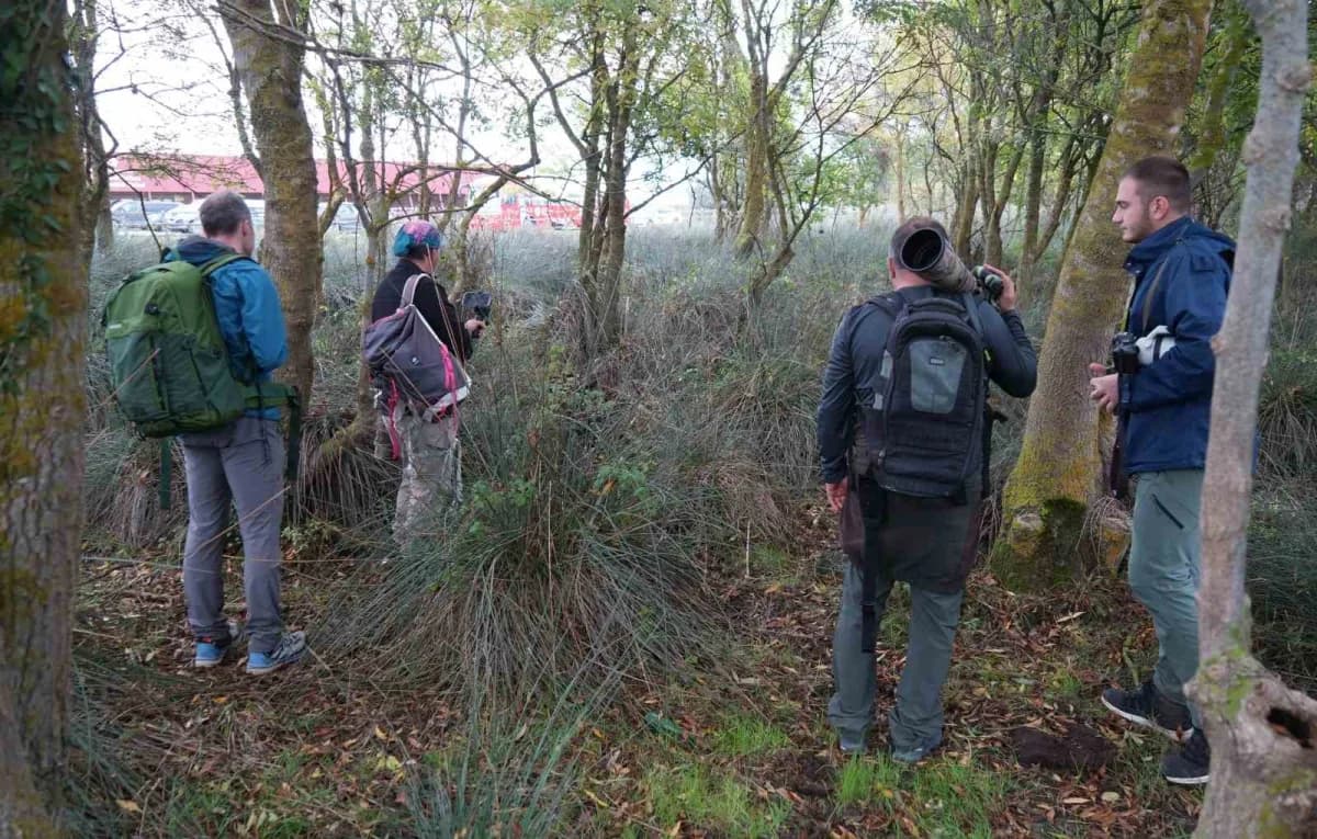 Türkiye’nin en önemli ve tanınmış Kuş fotoğrafçıları, Samsun’da düzenlenen Sonbahar Doğa Gözlem Kampı’nda Kızılırmak Del