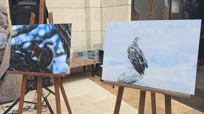 Kütahya'nın Yaban hayatı fotoğraflarla gözler önüne seriliyor