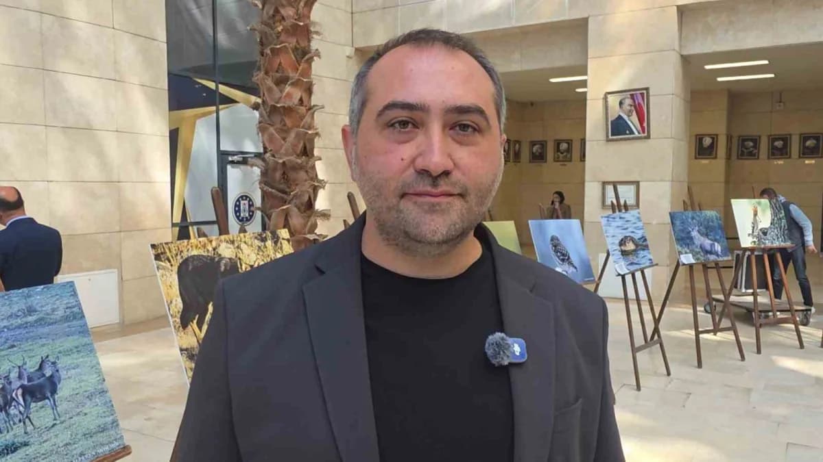 Alperan Akdemir