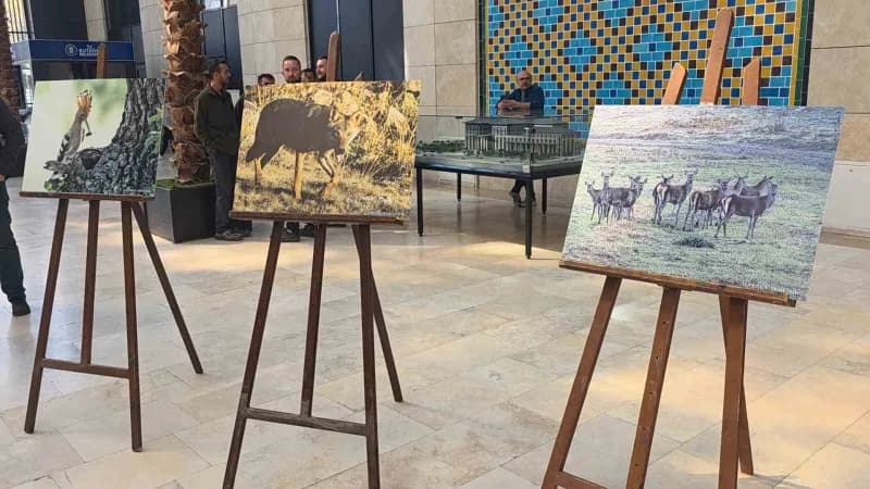 Kütahya'nın Yaban hayatı fotoğraflarla gözler önüne seriliyor