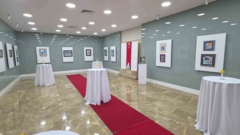 Kütahya Dumlupınar Üniversitesi (DPÜ) Kütahya Güzel Sanatlar Meslek Yüksekokulu Öğretim Görevlisi Mülkiye Özgür Kerkük'ü