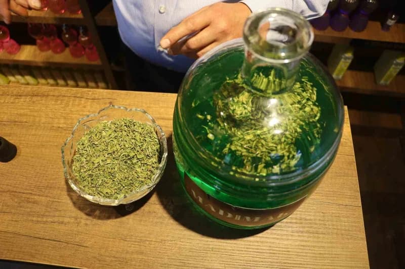 Sivas’ın vazgeçilmez lezzetlerinden biri olan ve bir çok türküye konu olan madımak bu kez de kolonya aromasında kullanıl