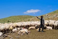 Malatya Arapgir Sarıçiçek Yaylası’nda hayvancılıkla uğraşan üreticilerin su sorunu için döşenen borular ve yayla manzara