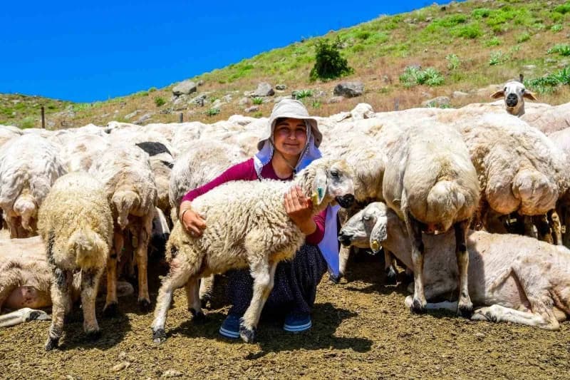 Malatya Büyükşehir Belediyesi 35 yıllık soruna neşter vurdu