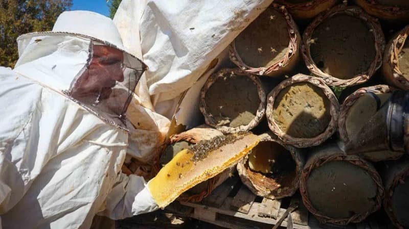 Malatya Pütürge’de Mecit Yüksel’in 60 yıllık toprak kovanlarda geleneksel yöntemlerle bal üretimi yapması