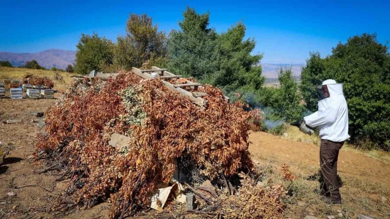 Malatya’da 60 yıllık gelenek toprak kovanlarda yaşatılıyor