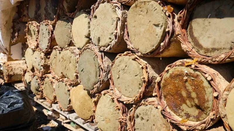 Malatya’da 60 yıllık gelenek toprak kovanlarda yaşatılıyor