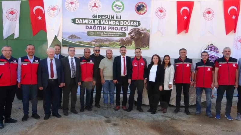 Giresun’da Manda yetiştiriciliğinde verimliliği artırmak amacıyla 25 yetiştiriciye Damızlık Manda Bo