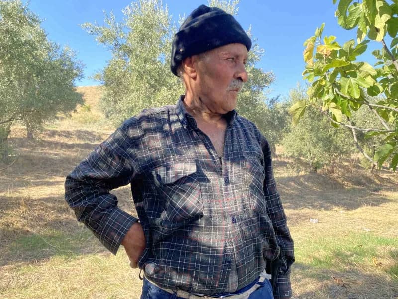 Zeytinliğin sahibi Ali Zangal ise yangının sigara izmaritinden çıkmış olabileceğini belirterek, "Birisi herhalde sigara