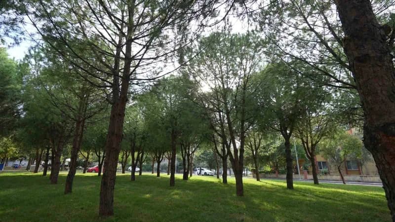 Manisa Büyükşehir Belediyesi, Kent genelinde çocuk oyun alanları, spor alanları ve yürüyüş yollarında Bakım ve yenileme
