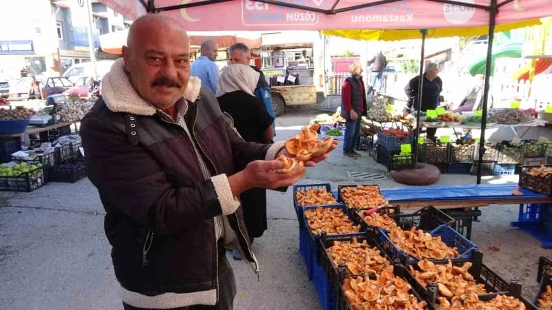 Kastamonu’da mantar satışı yapan esnaf Necati Bekiroğlu, mantarların köylü vatandaşlara bırakılan kasalarla toplatıldığı