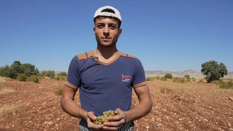 Hamza Tunçer