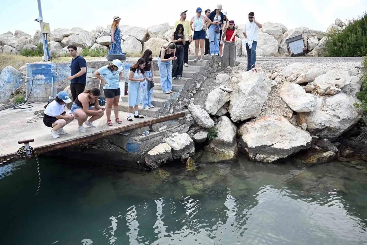 Mersin’de ODTÜ Deniz Bilimleri Enstitüsü kampüsünde deniz canlıları gözlemi yapan katılımcılar