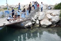 Mersin’de ODTÜ Deniz Bilimleri Enstitüsü kampüsünde deniz canlıları gözlemi yapan katılımcılar