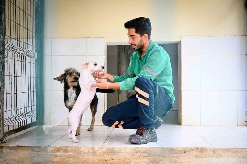 Mersin Büyükşehir’den can dostlara kapsamlı hizmet