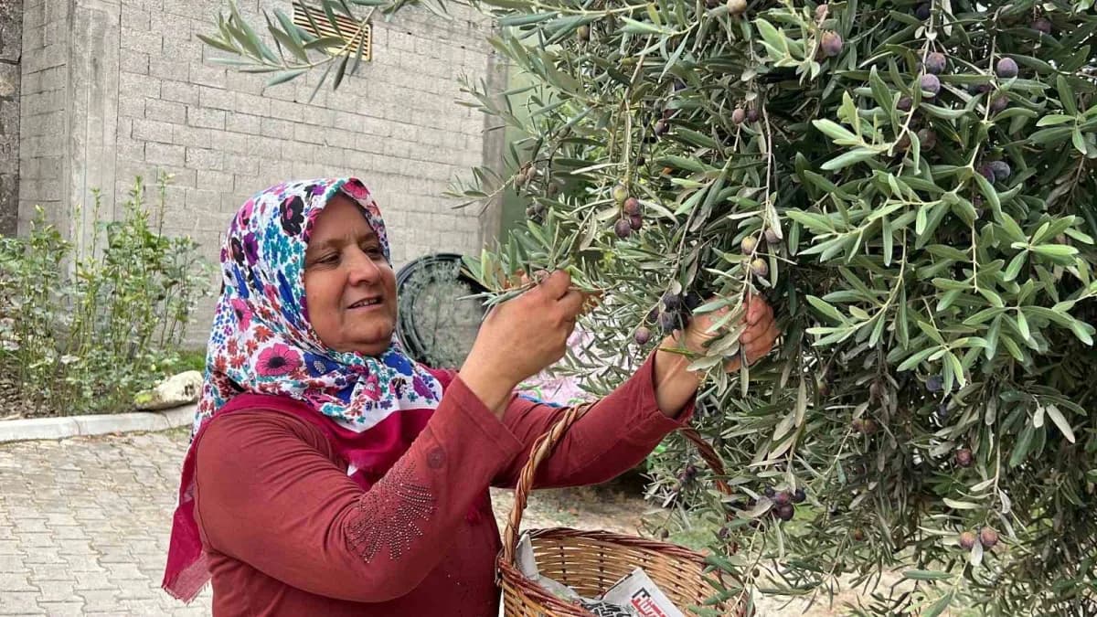 Mersin’de köy hayatını paylaştığı videolarla sosyal medyada yaklaşık 400 bin takipçiye ulaşan 57 yaşındaki Naciye Şahin,
