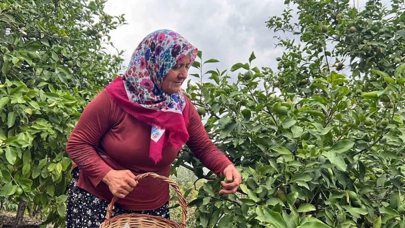 Mersin’de köy hayatını paylaştığı videolarla sosyal medyada yaklaşık 400 bin takipçiye ulaşan 57 yaşındaki Naciye Şahin,