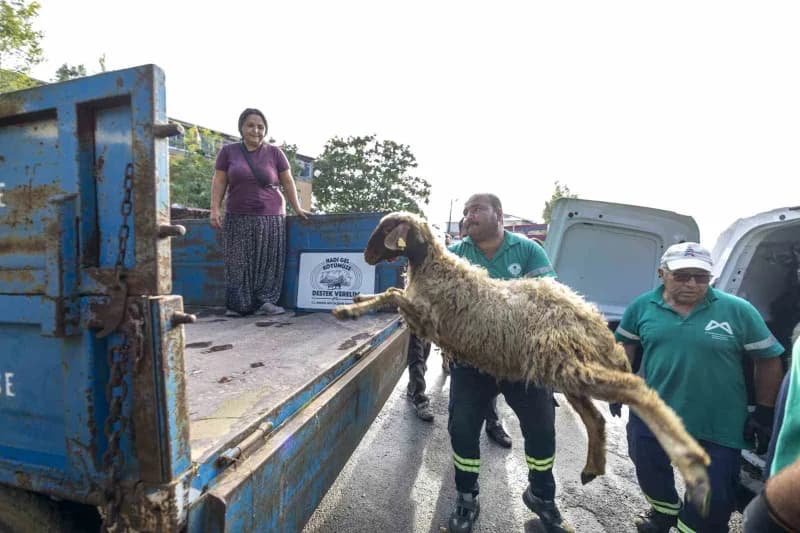Mersin’de üreticilere hayvan, fidan ve ekipman desteği dağıtımı töreni