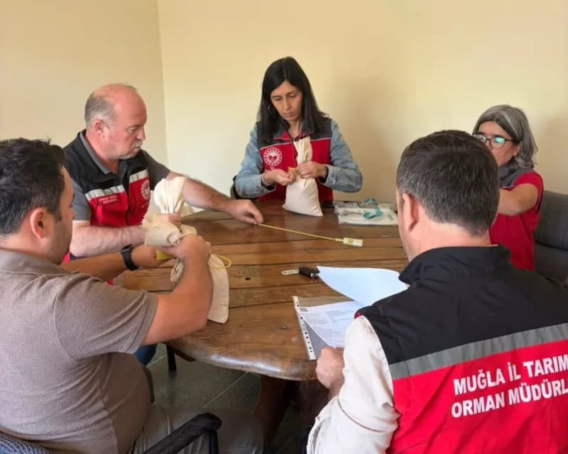 Muğla’da 9 bin 950 dekarda sertifikalı buğday tohumu üretildi
