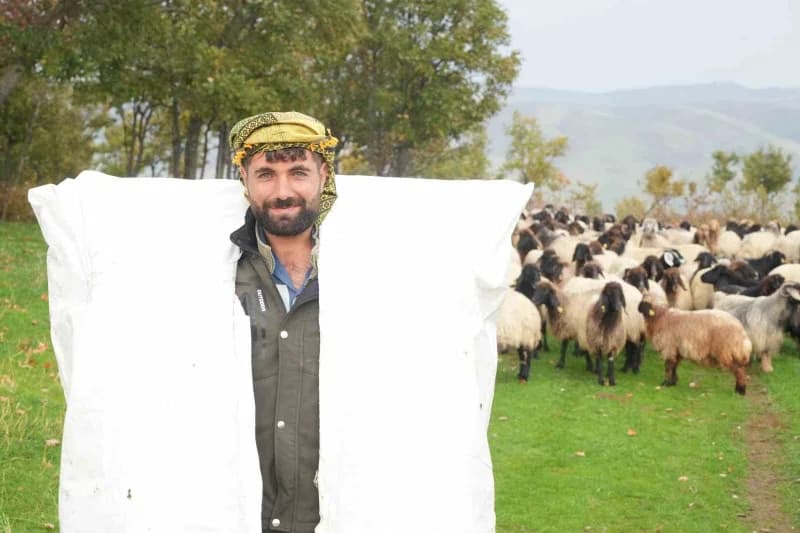 Menav Bozkurt
