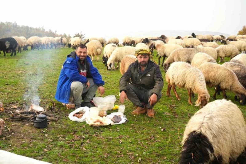 Menav ve Cebrail Bozkurt kardeşler