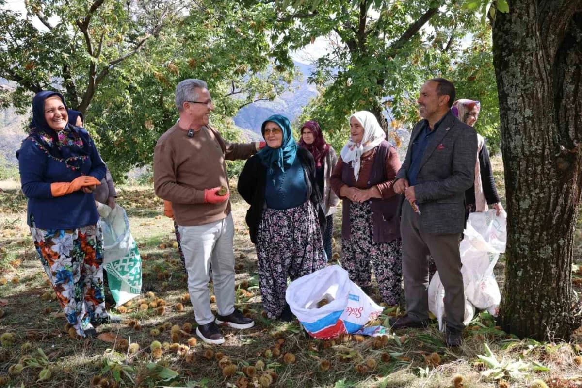 Nazilli Belediye Başkanı Dr. Ertuğrul Tetik, Esentepe Mahallesi’nde kestane üreticileriyle bir araya