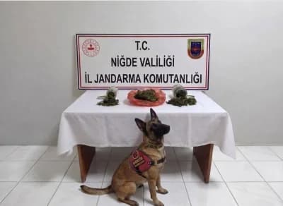 Niğde’de polis ve jandarma ekiplerinin aranan şahıs operasyonu sırasında ele geçirilen suç unsurları