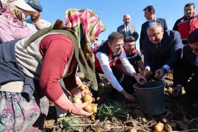 Niğde Konaklı beldesinde yerli patates çeşitlerinin hasat edildiği tarla
