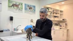 Tokat'ta veteriner kliniklerinde kedi ve köpeklerde görülen ishal ve kusma belirtileri
