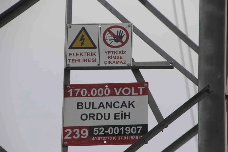 Direk, 170 bin voltluk Elektrik enerjisini Giresun bölgesine taşıyor