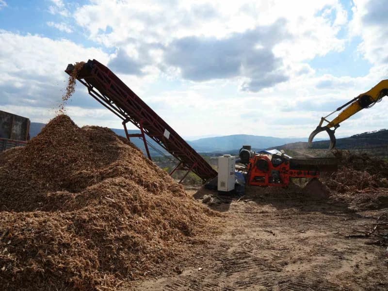 Kastamonu’nun Araç ilçesinde geçtiğimiz yıl çıkan ve 5 gün süren Orman yangınında zarar gören ağaçlar, ormanlık alandan