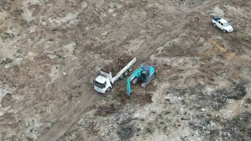 Kastamonu’nun Araç ilçesinde geçtiğimiz yıl çıkan ve 5 gün süren Orman yangınında zarar gören ağaçların kesimi yapıldıkt