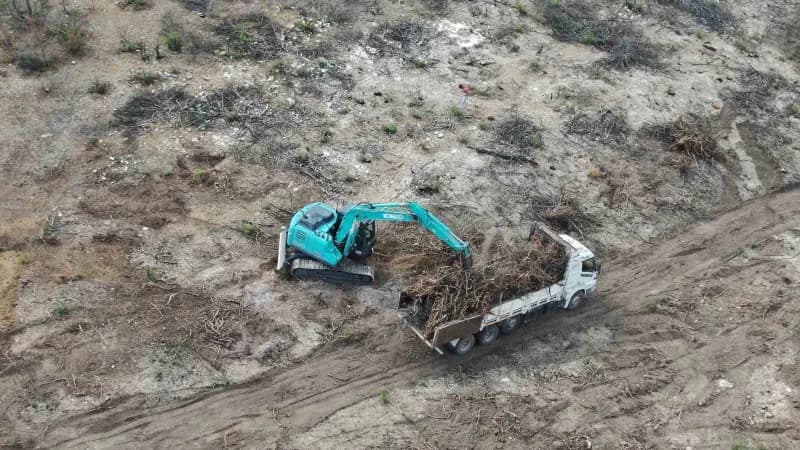 Kastamonu’nun Araç ilçesinde geçtiğimiz yıl çıkan ve 5 gün süren Orman yangınında zarar gören ağaçların kesimi yapıldıkt
