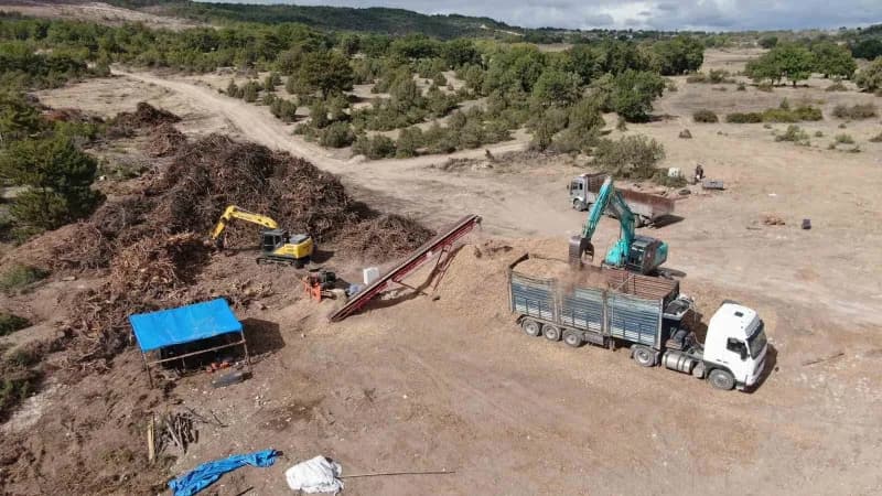 Kastamonu’nun Araç ilçesinde geçtiğimiz yıl çıkan ve 5 gün süren Orman Yangının ardından yanan ormanlık sahasında temizl